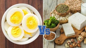 Vegetarian Power: 20 Plant-Based Protein Sources That Outperform Eggs