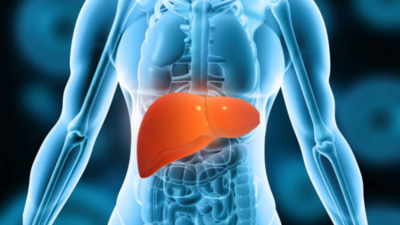 5 Simple Fitness Tests for Fatty Liver Risk: Doctor's Guide to Assessing Your Health