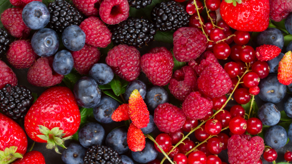 A variety of colorful and nutritious berries