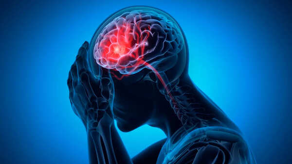 Close-up of a brain illustrating areas related to decision-making and moral compass.
